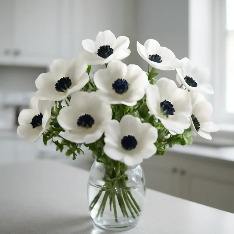 Anemoon – klassiek – afbeelding 3