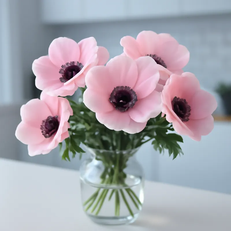 Anemoon – roze – afbeelding 3