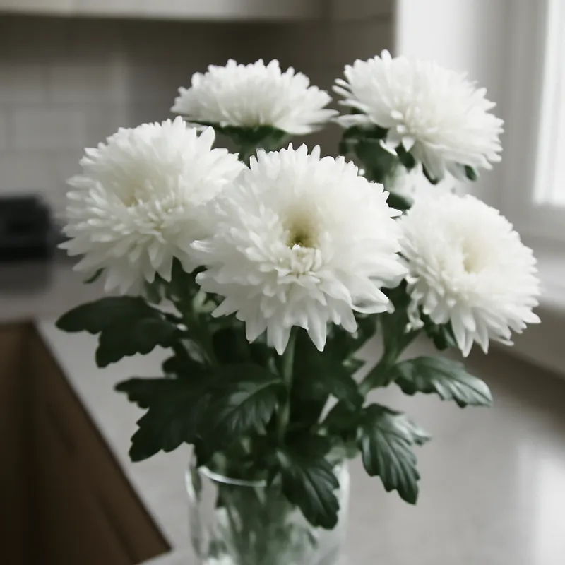 Aster – wit – afbeelding 3