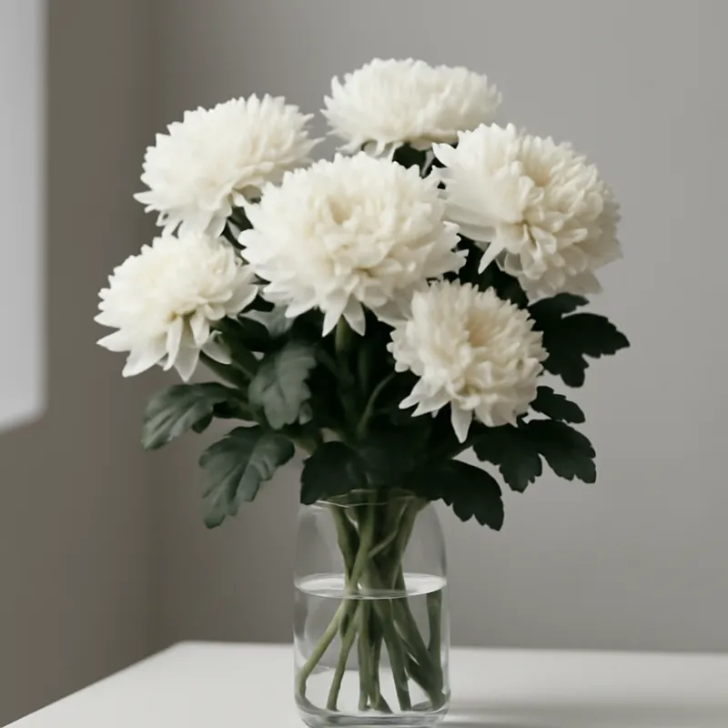 Chrysant – klassiek – afbeelding 3