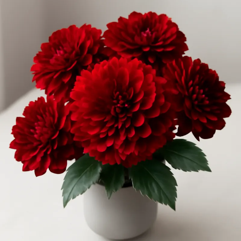 Dahlia – rood – afbeelding 3