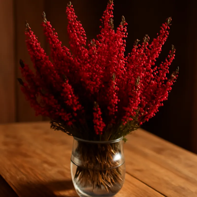 Heide – rood – afbeelding 3