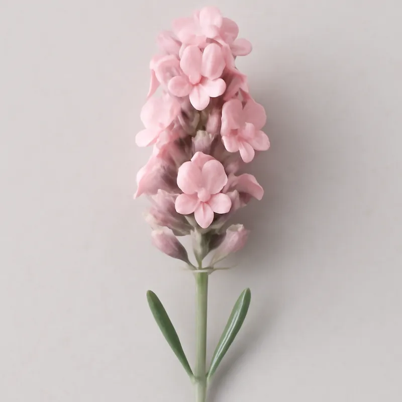 Lavendel – roze – afbeelding 1