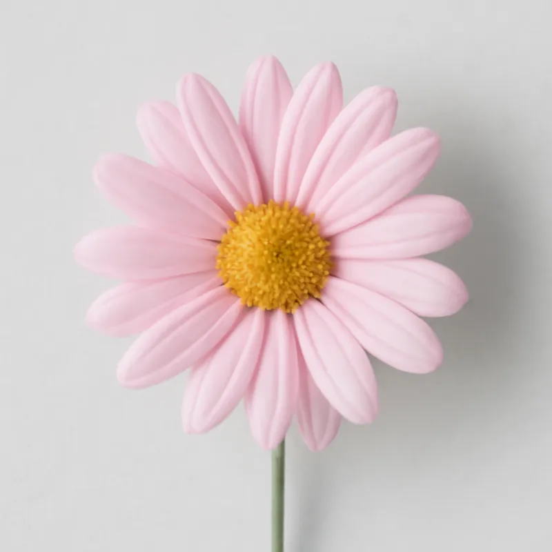 Margriet – roze – afbeelding 1