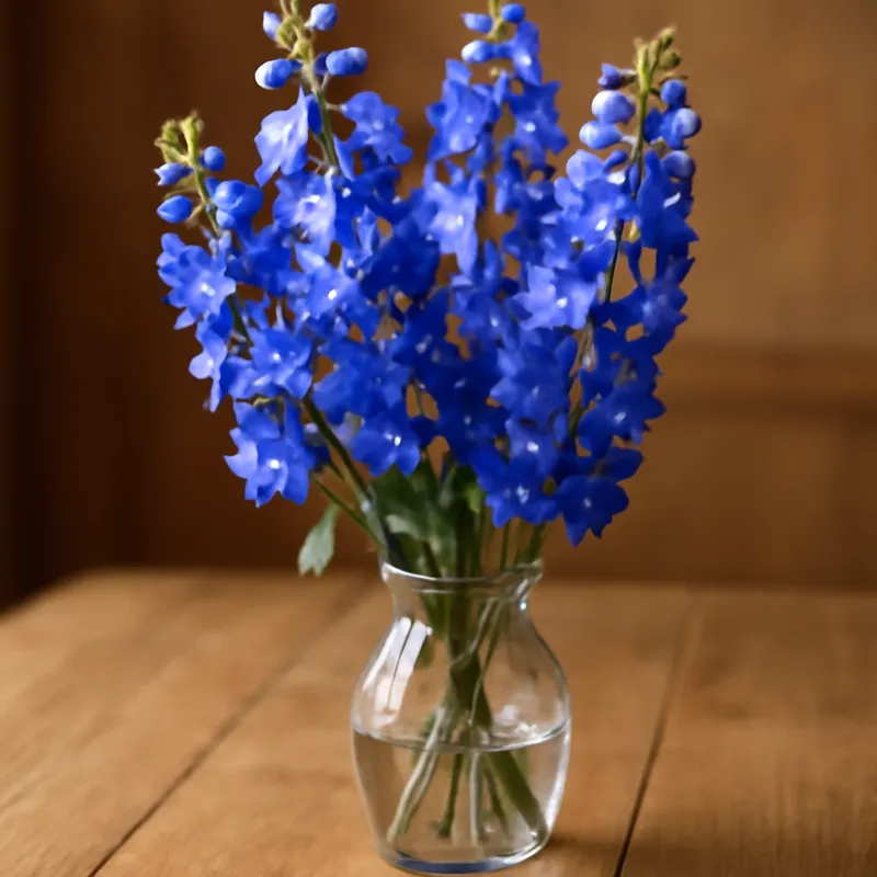 Ridderspoor – klassiek – afbeelding 3