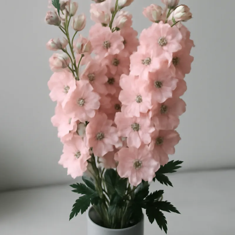 Ridderspoor – roze – afbeelding 3