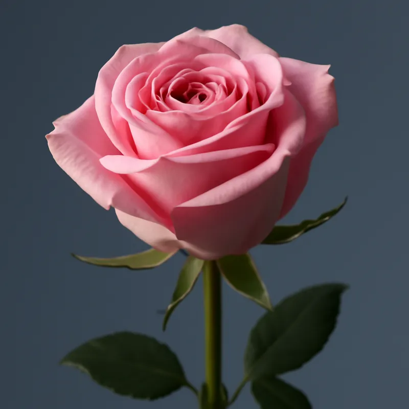 Klassiek rozenboeket