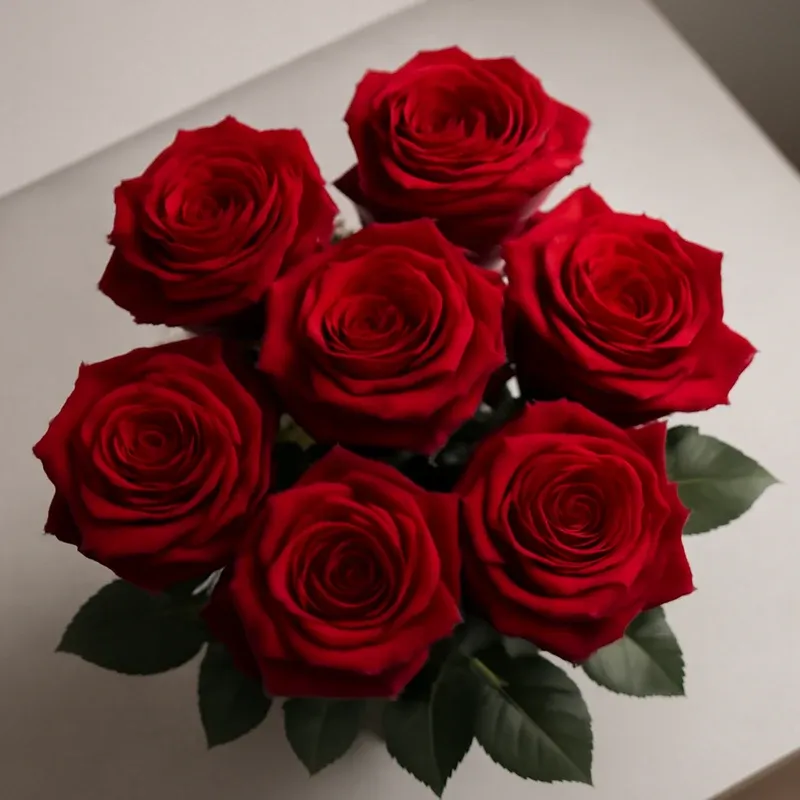 Roos – rood – afbeelding 3