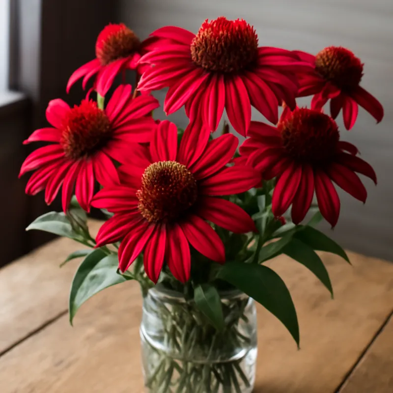 Zonnehoed – klassiek – afbeelding 3