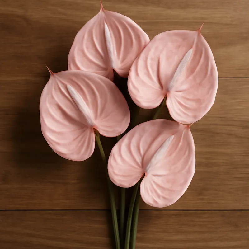 Anthurium (flamingoblomma) - roze – afbeelding 3