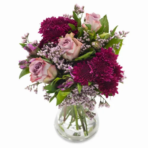 Winterpurper
