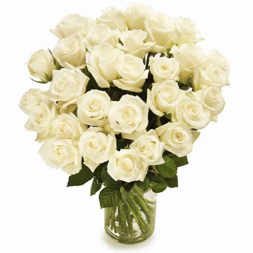 Witte rozen